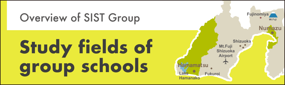 Study fields of group schools